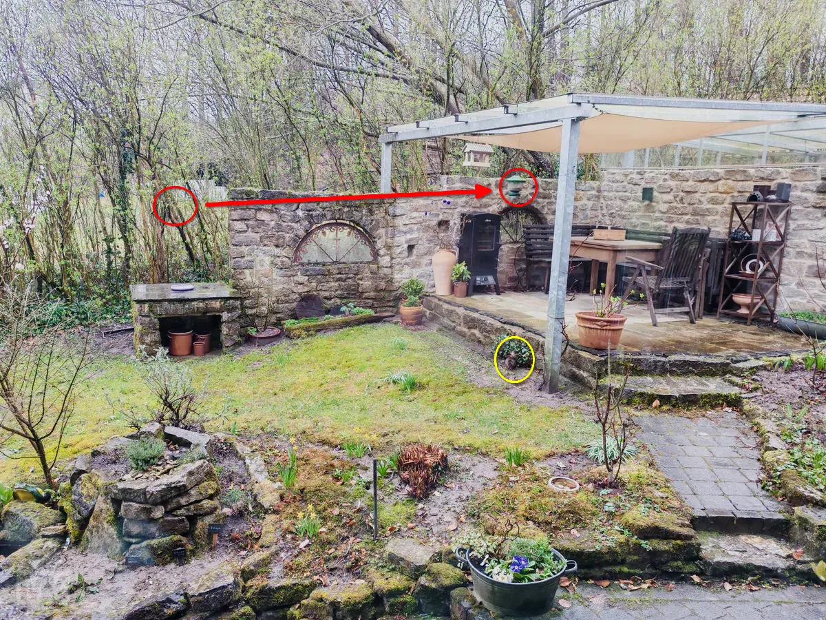 futterstelle 20260325 114713