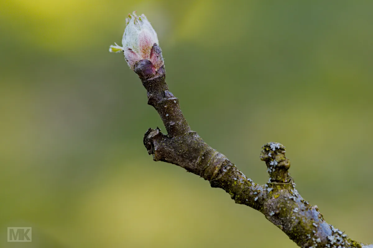 bl-te-20260318_140608_01